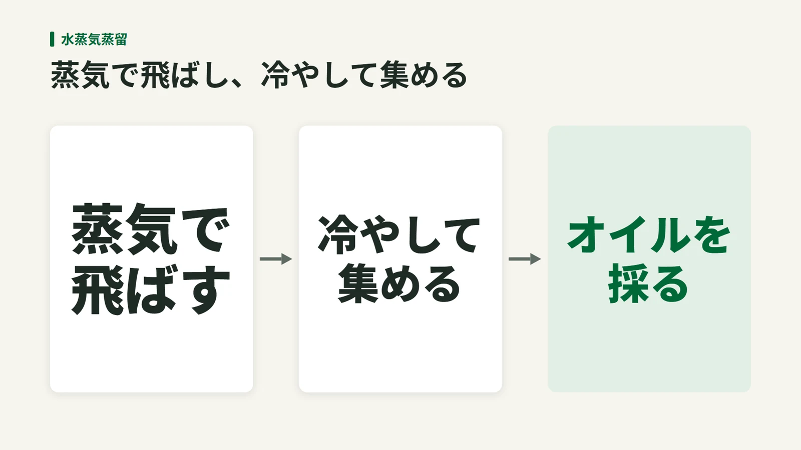 水蒸気で香りの成分を取り出し、冷やして精油を採る流れを示す図