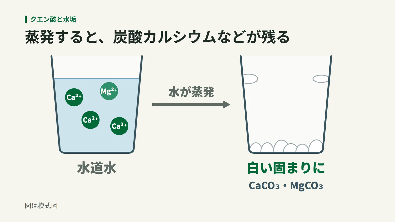 カルシウムイオンとマグネシウムイオンが溶けた水道水のコップから水が蒸発すると、底に炭酸カルシウムと炭酸マグネシウムの白い固まりが残る様子を示す図