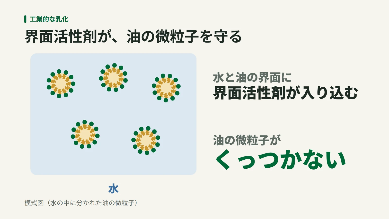水に分散した油滴の周囲に界面活性剤が並び、油滴どうしが合体しにくくなる模式図
