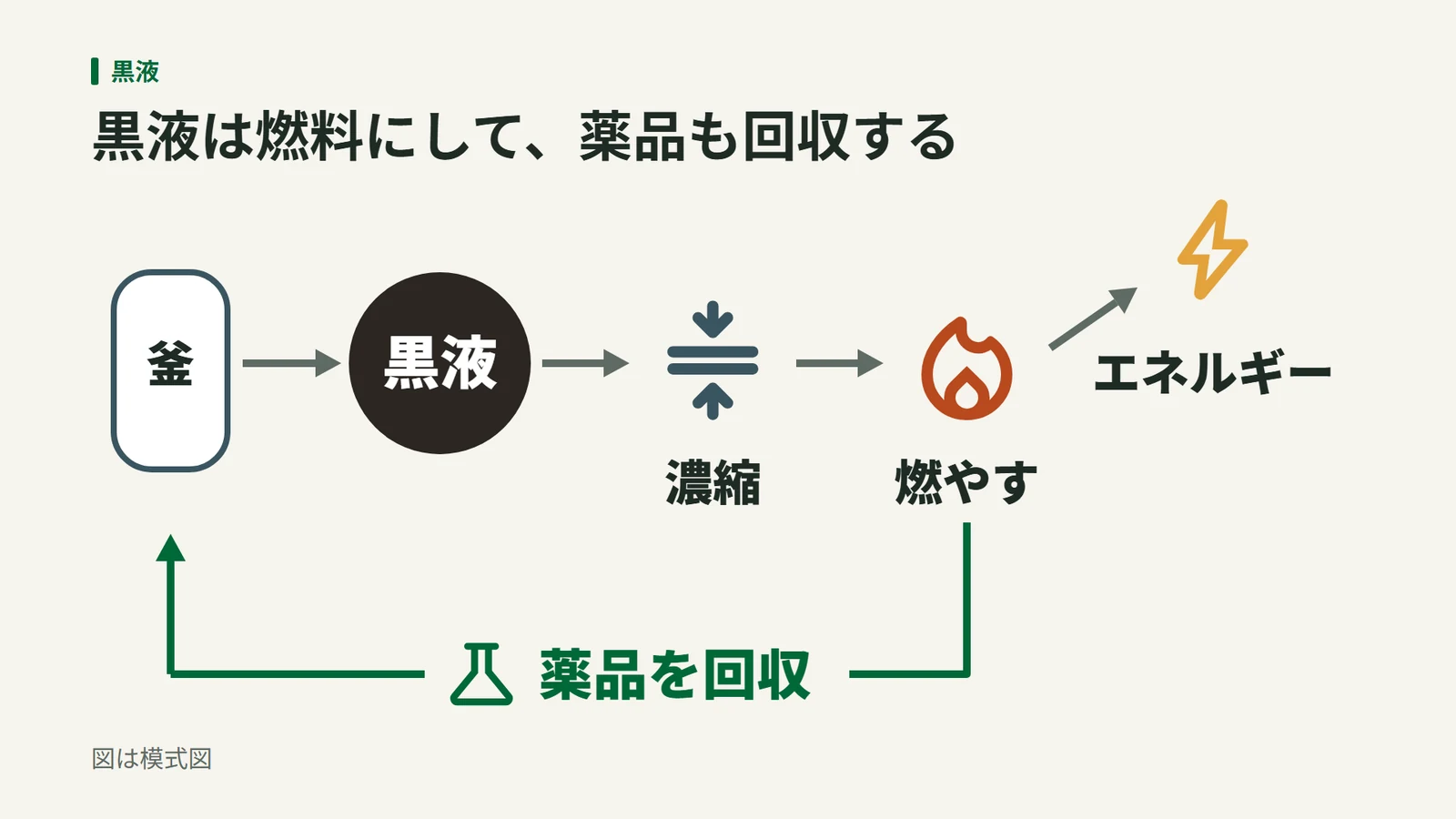 釜から出た黒液を濃縮して燃やし、エネルギーを取り出し、燃え残りから回収した薬品を釜に戻す流れの図