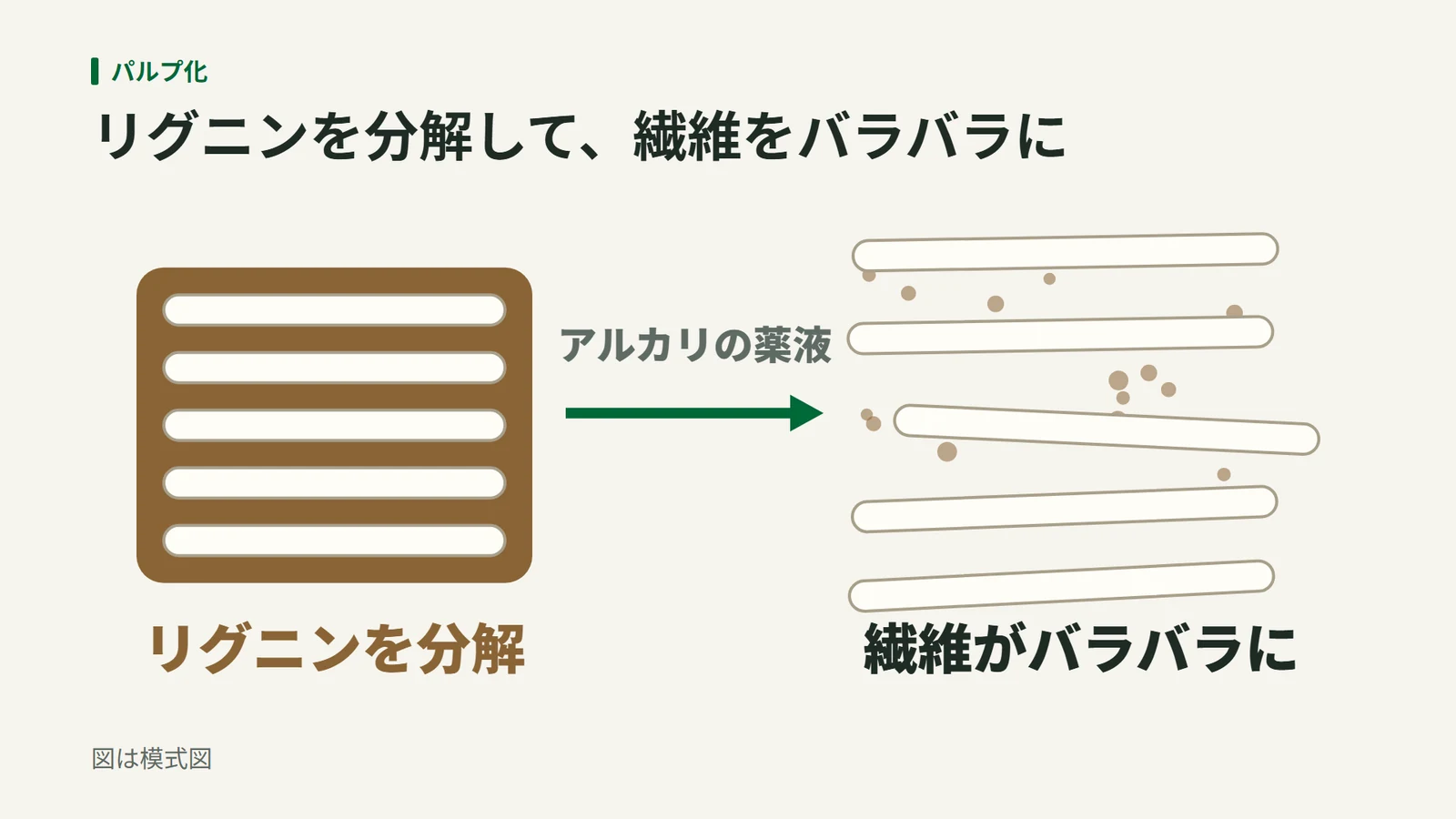 茶色く固まった木の繊維が、アルカリの薬液でリグニンを分解され、白い繊維がバラバラにほどける様子の模式図