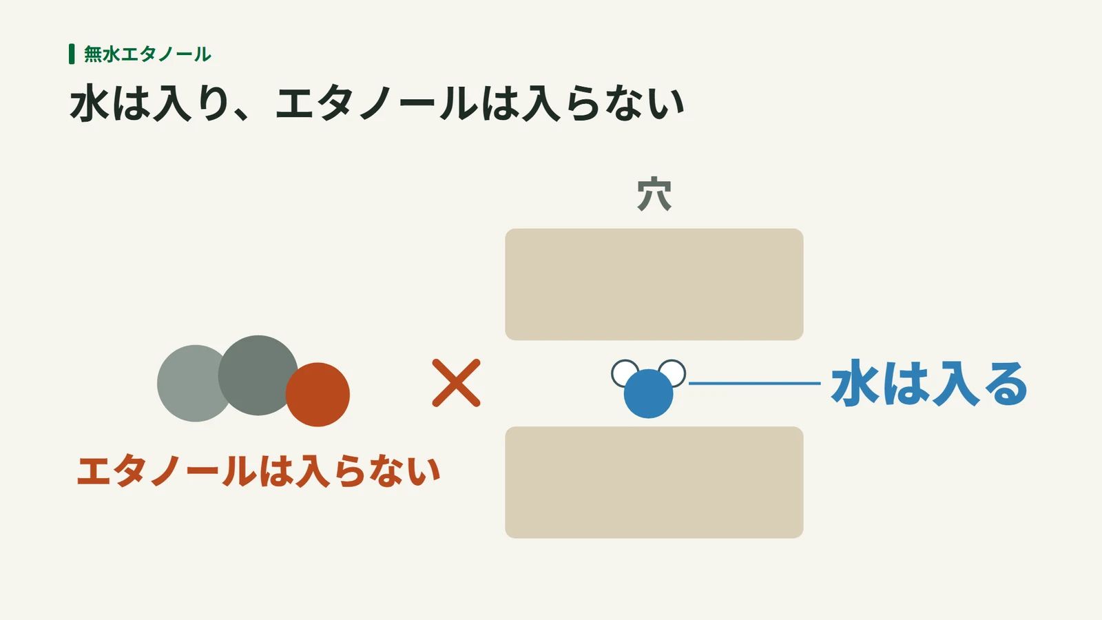 モレキュラーシーブの穴に、小さな水の分子は入り、大きなエタノールの分子は入らない様子を示す図