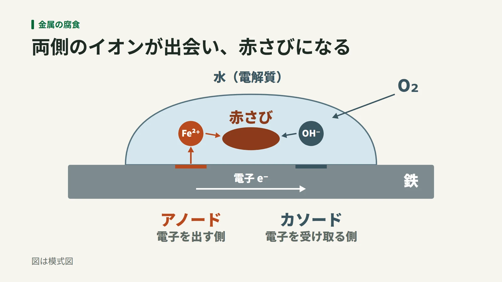 鉄の上の水滴の中で、電子を出す側から鉄イオンが、受け取る側で水酸化物イオンができ、両方が出会って赤さびになる様子を示した模式図