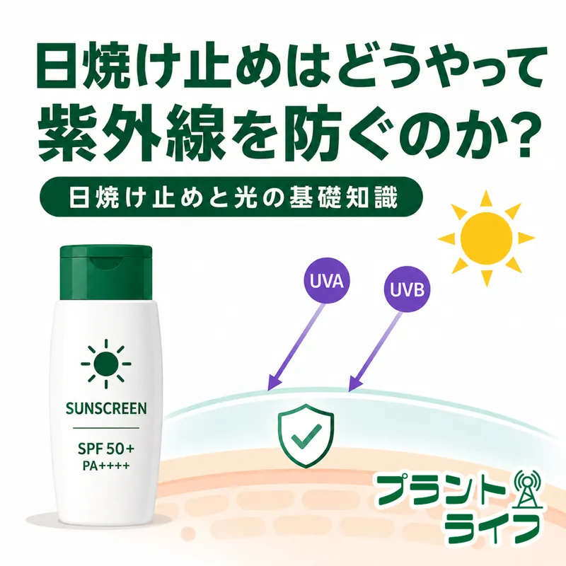 #104 日焼け止めはどうやって紫外線を防ぐのか？